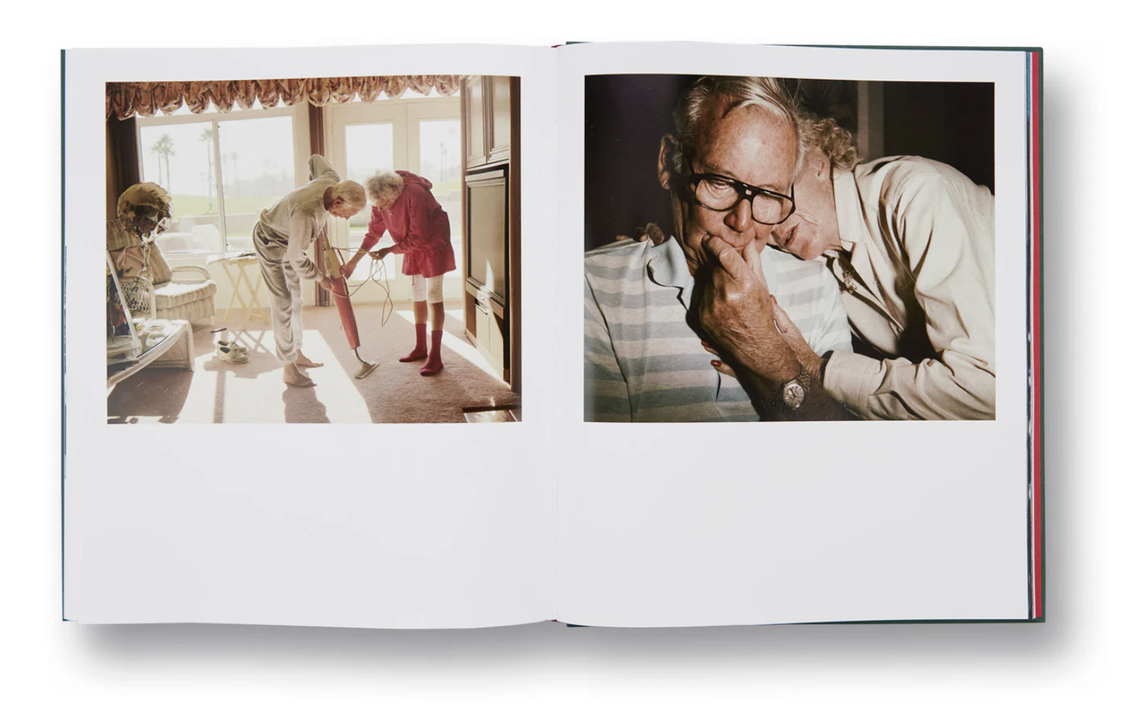   Pictures From Home, by Larry Sultan 