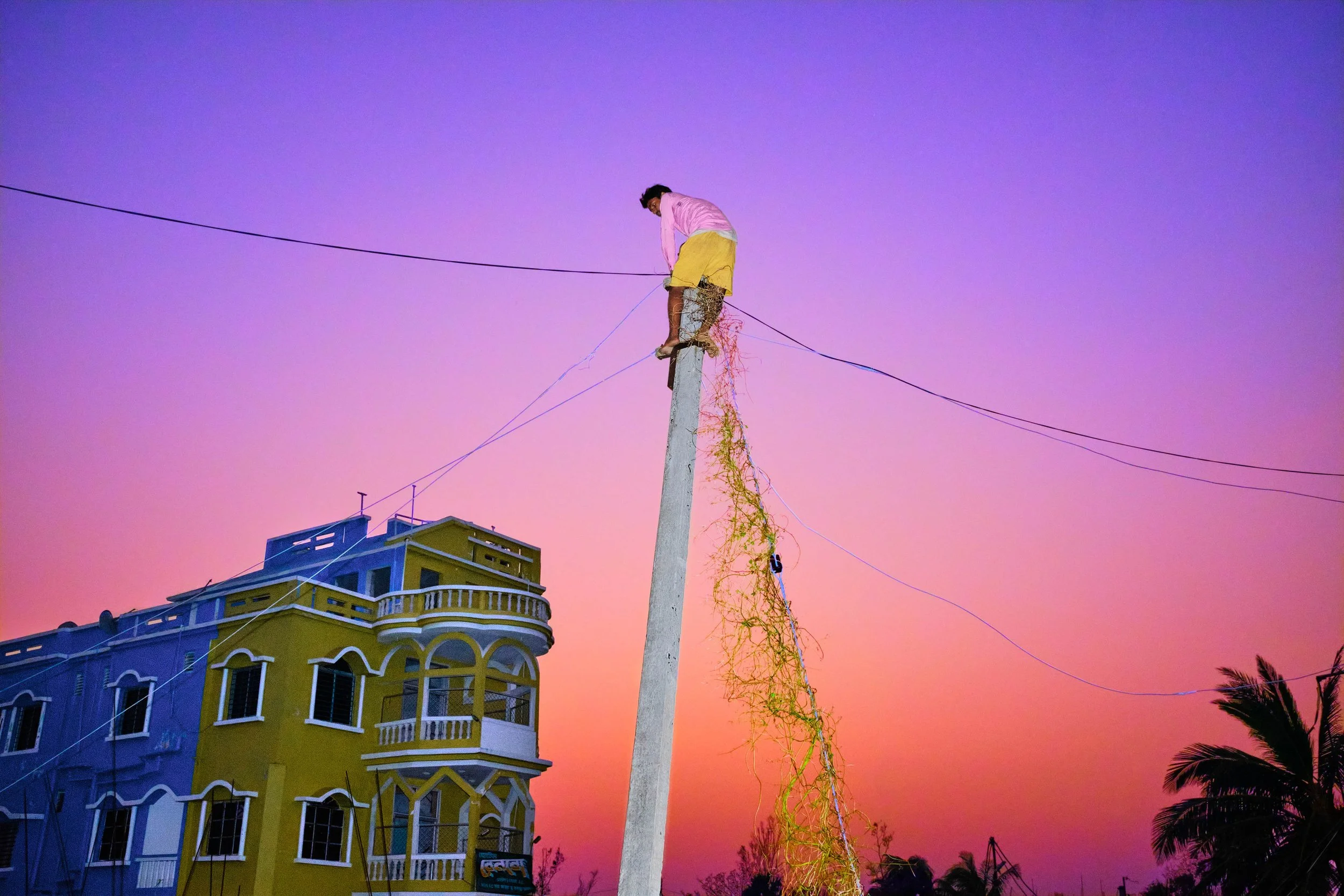 Contemporary Approaches to Visual Storytelling (Online)