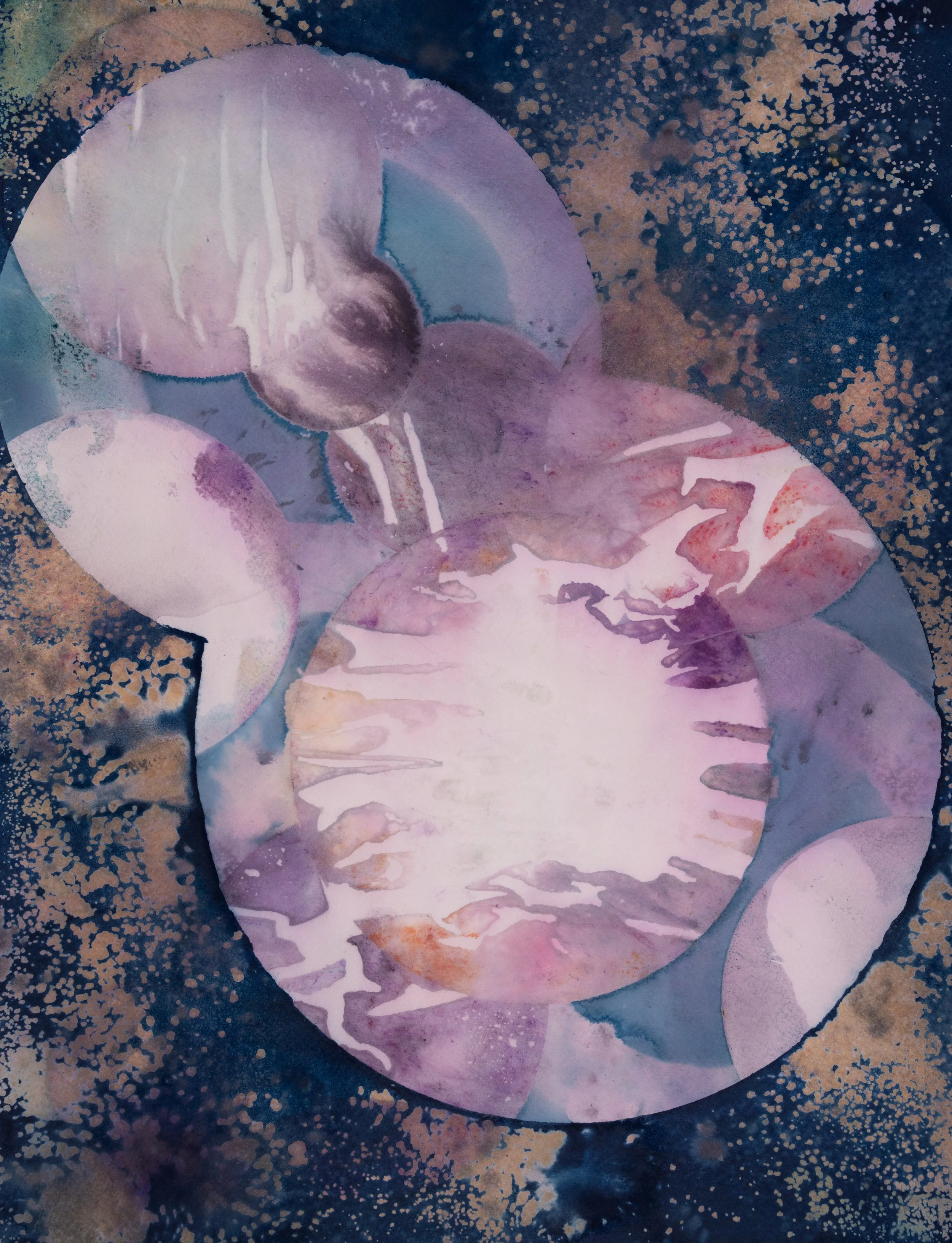 Sparagana_145.jpg