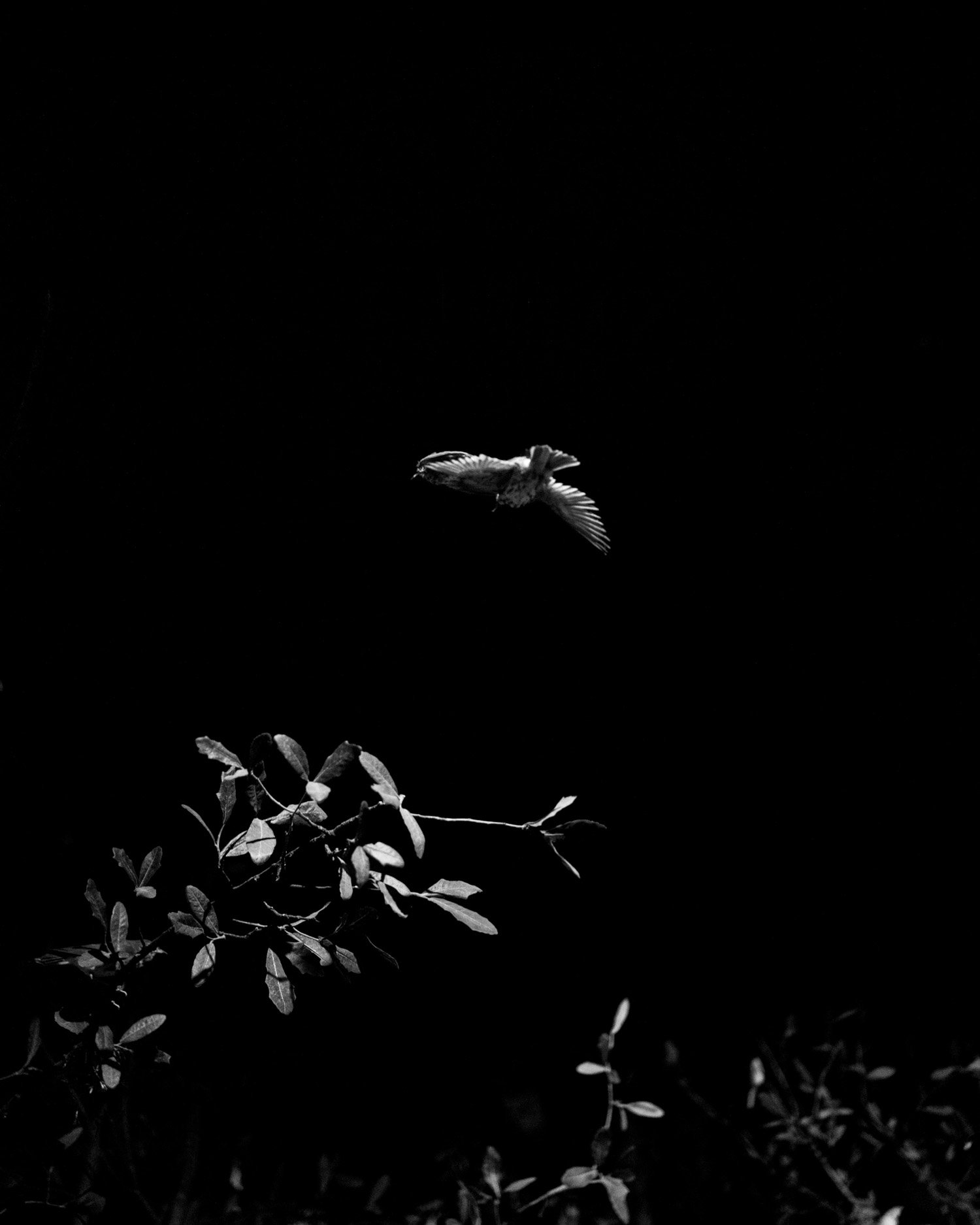 250830 EDU Austin Cullen 05 - Austin Cullen-5.jpg