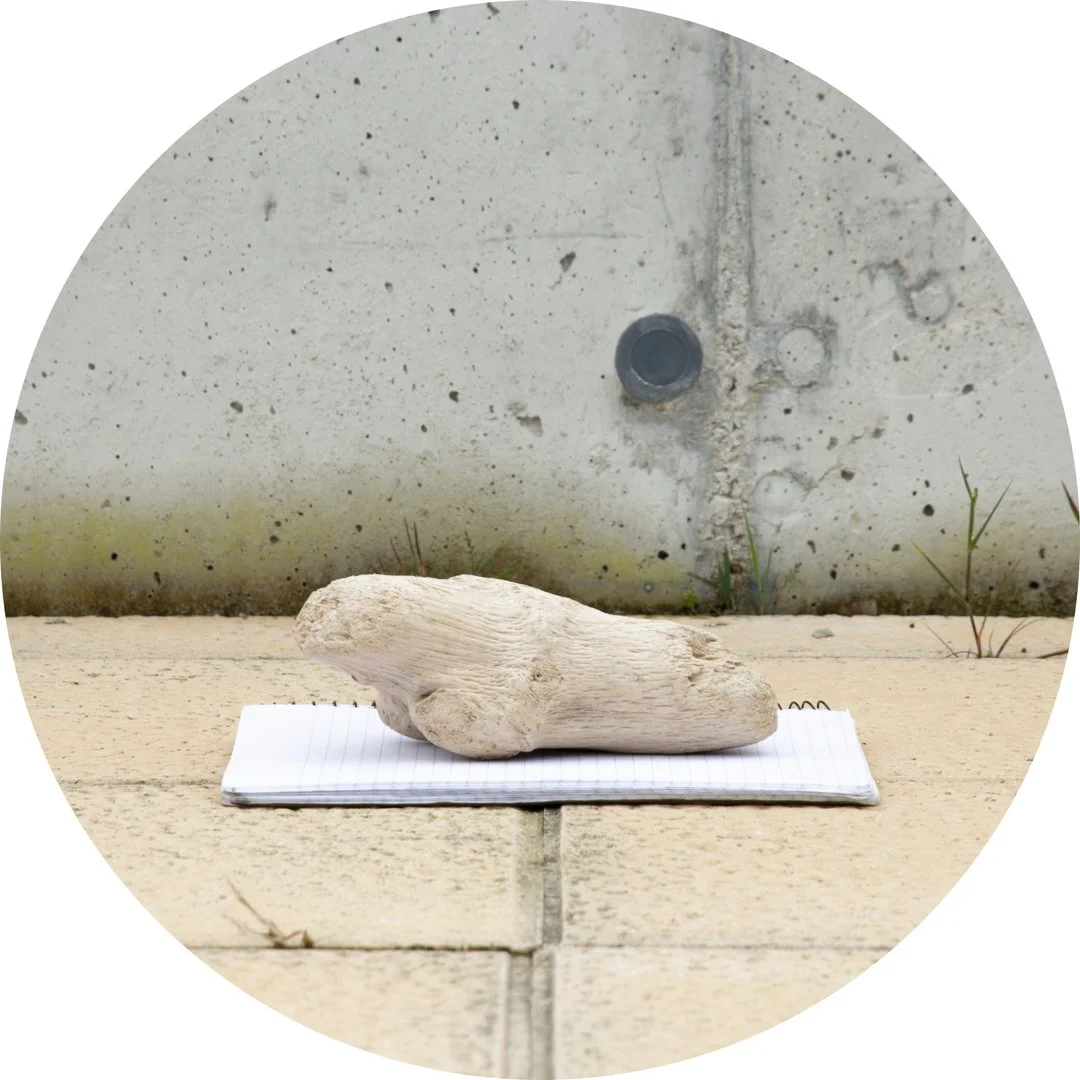 KRISTY PEET (Solo): “Memories”, Galveston Arts Center, March 14- June 7, 2026