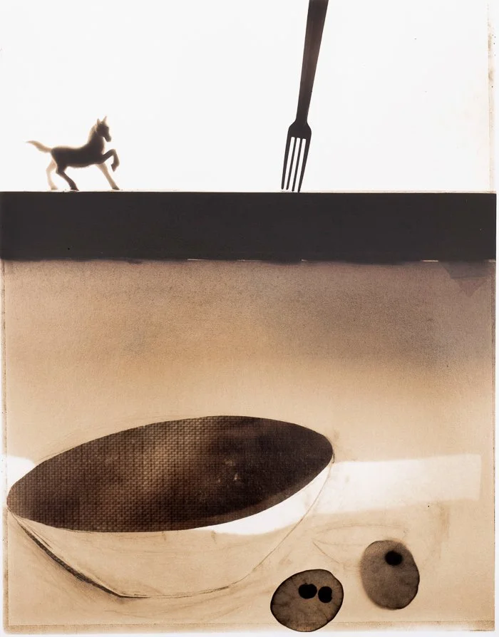 © Susan Dunkerley Maguire