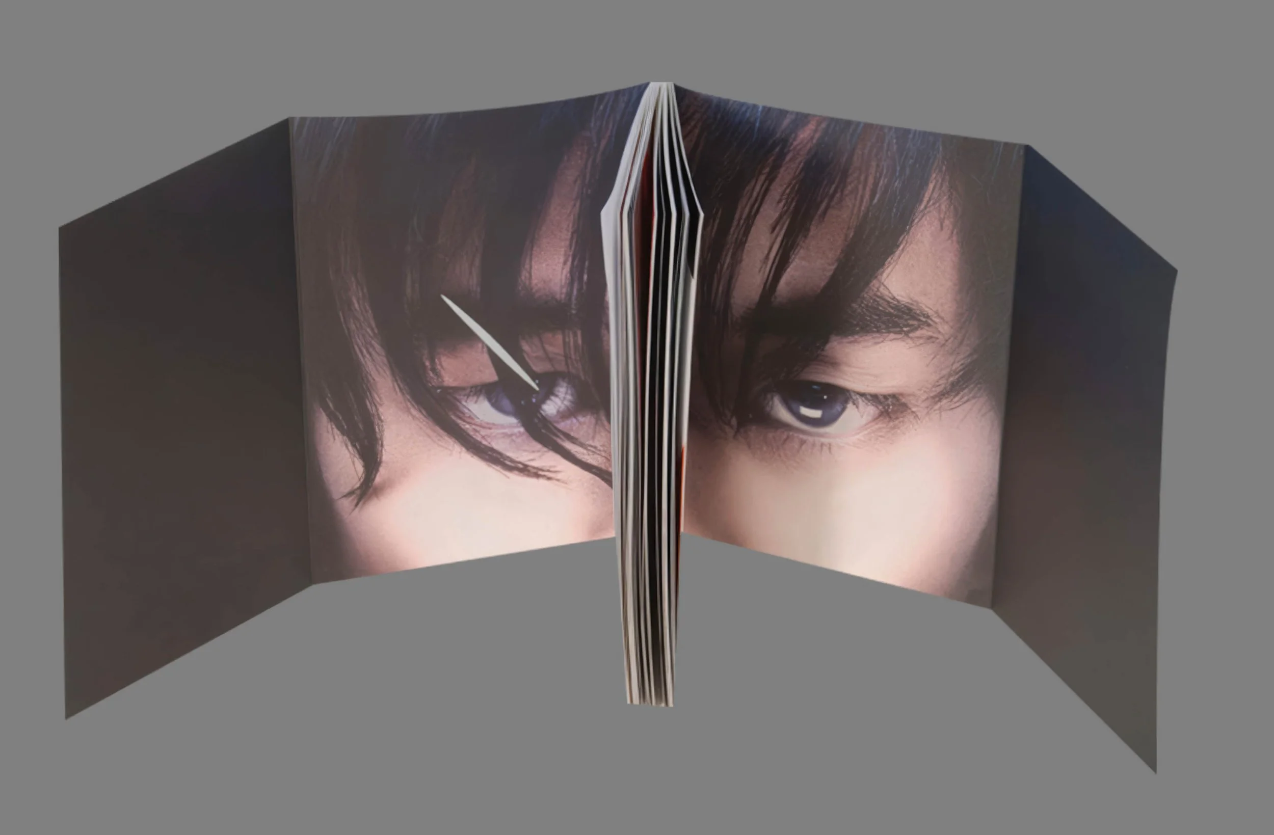 260717 EDU Anderson & Low 05 - Manga Dreams book inside cover.jpg