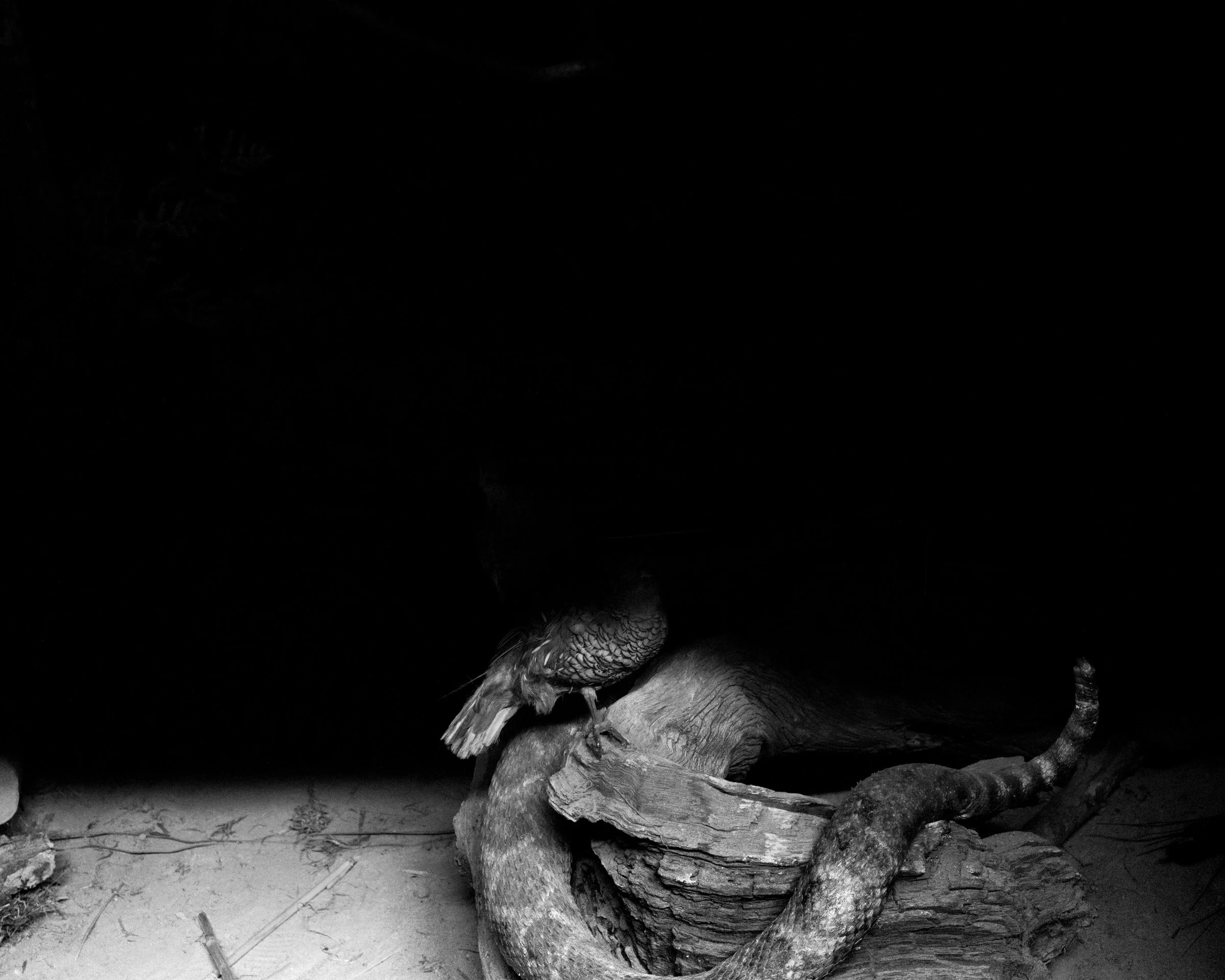 240703 EDU Austin Cullen 08 - Austin_Cullen-8.jpg