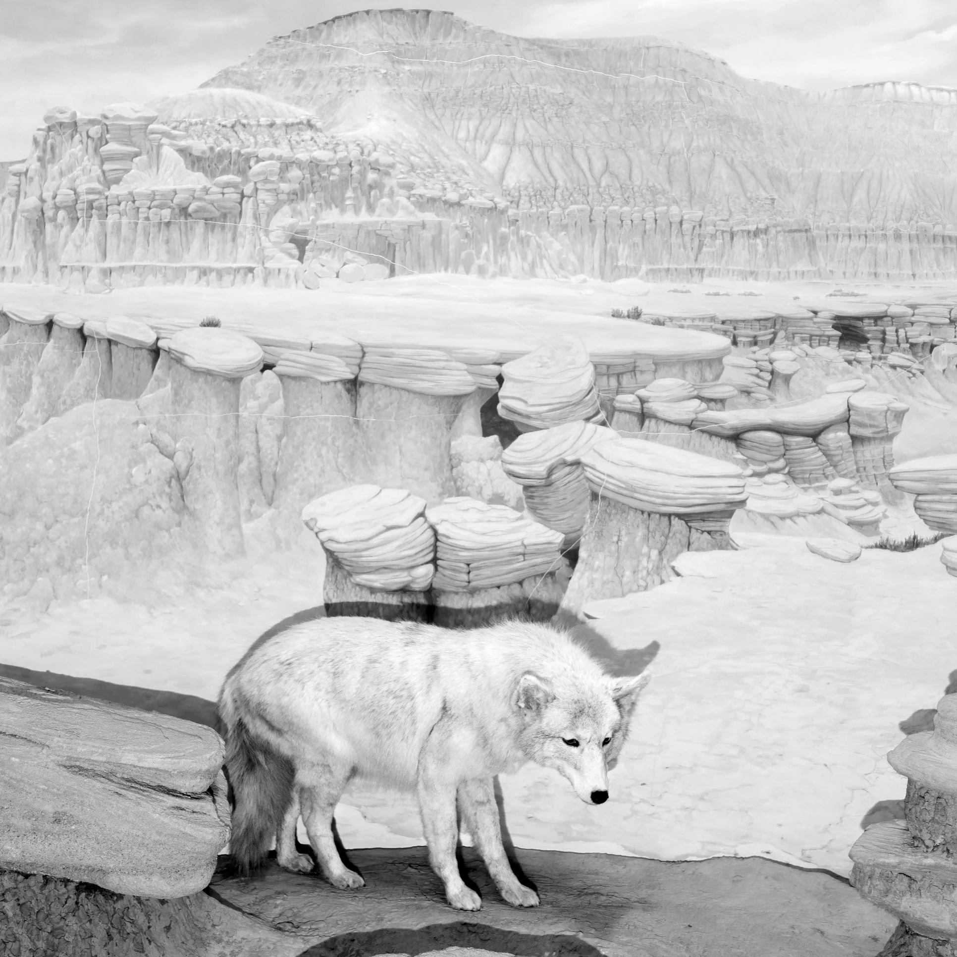 Intermediate Photography - Teens (Jun 22-26)