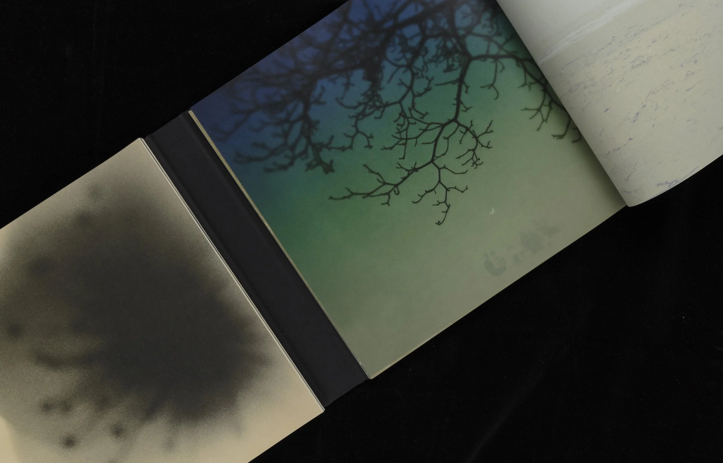 The Photobook: New and Noteworthy (Apr 19)