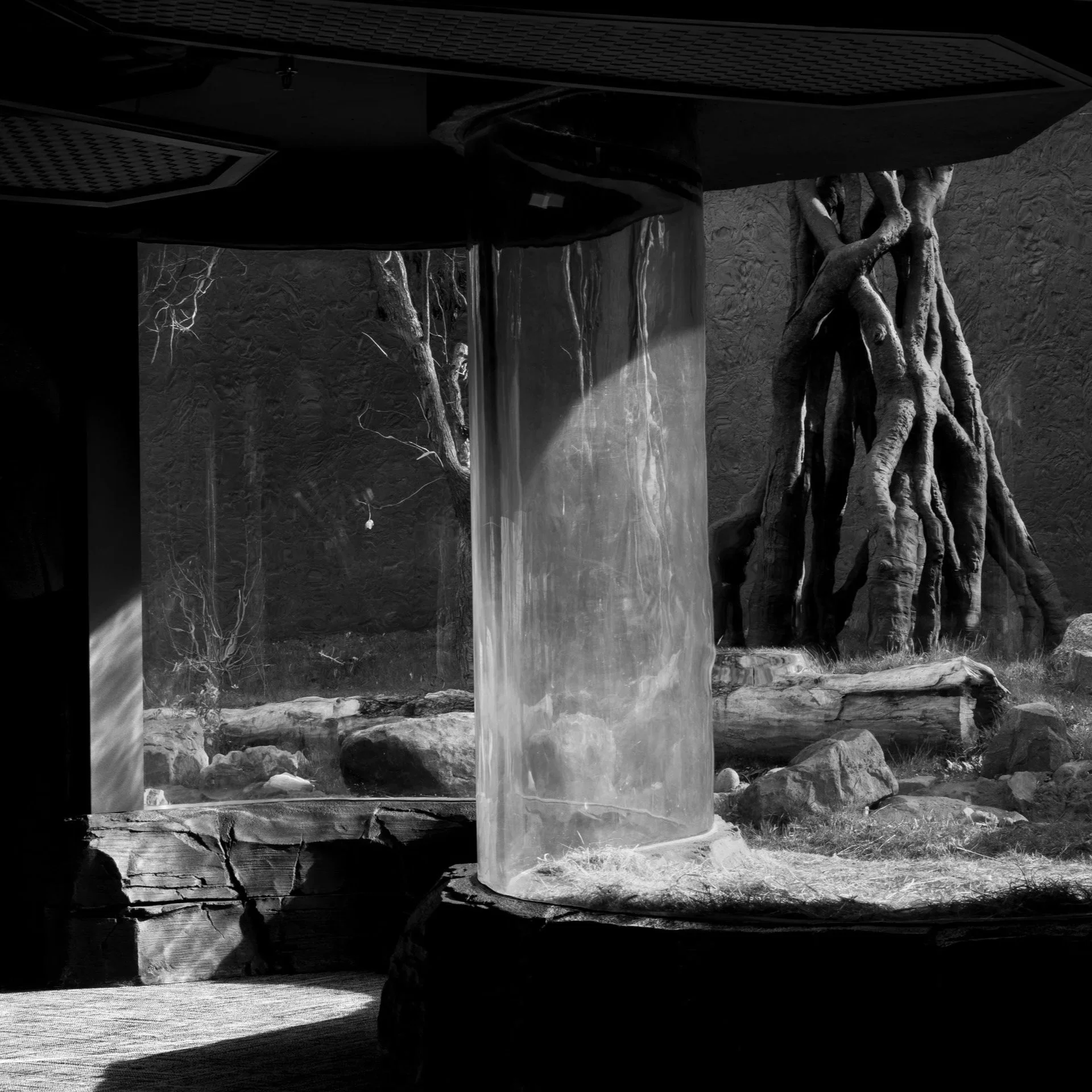 Visual Literacy: Understanding Images (Jul 8-16)