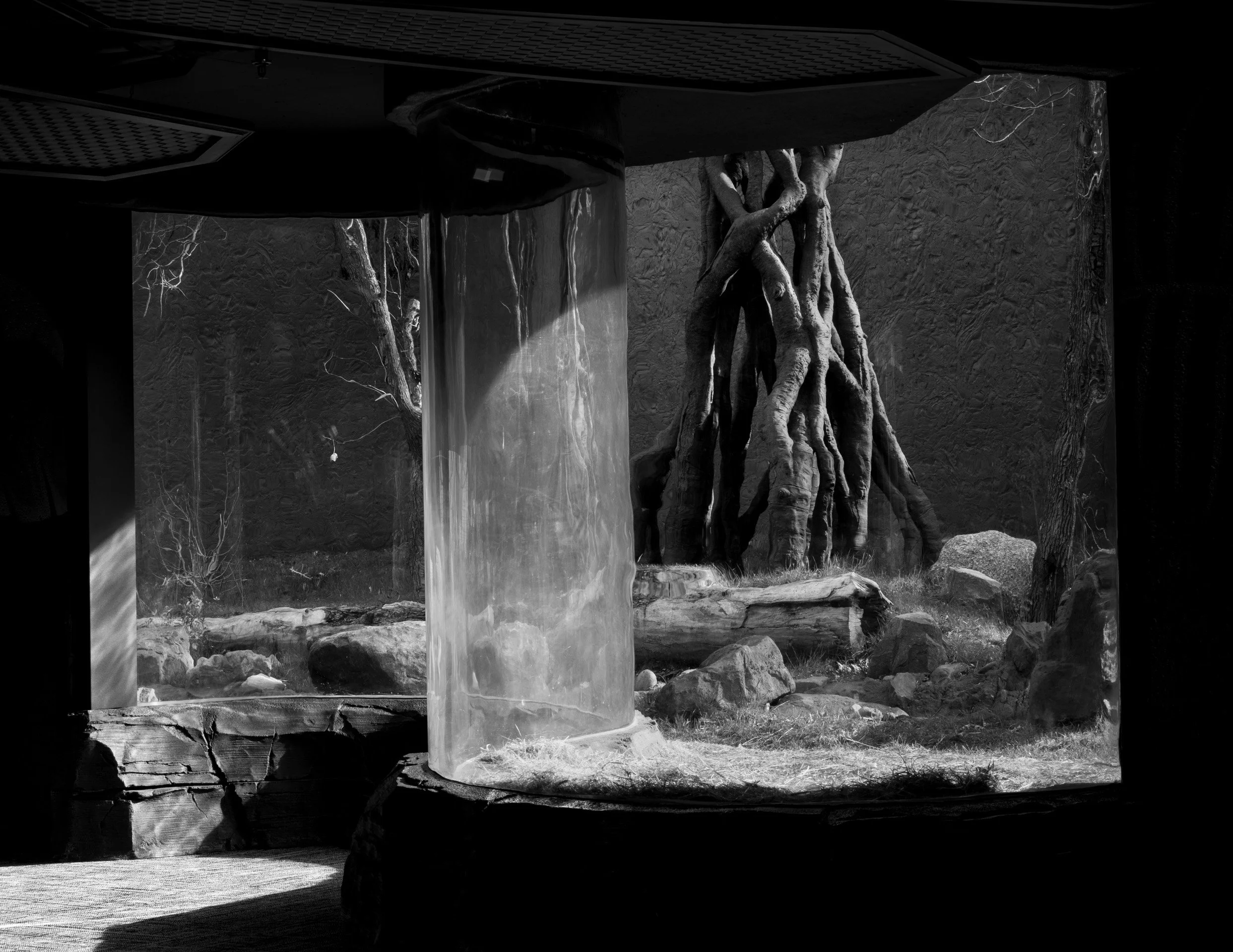 231102 EDU Austin Cullen 09 - Austin-Cullen-9.jpg