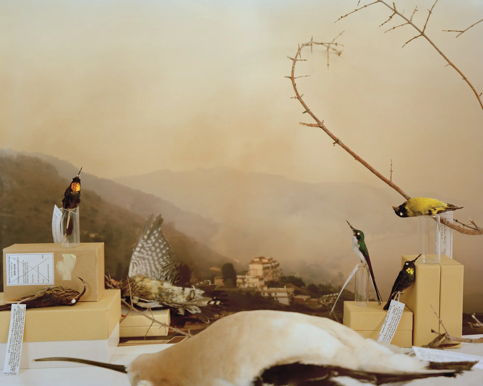 Shifting Baseline Syndrome.jpg