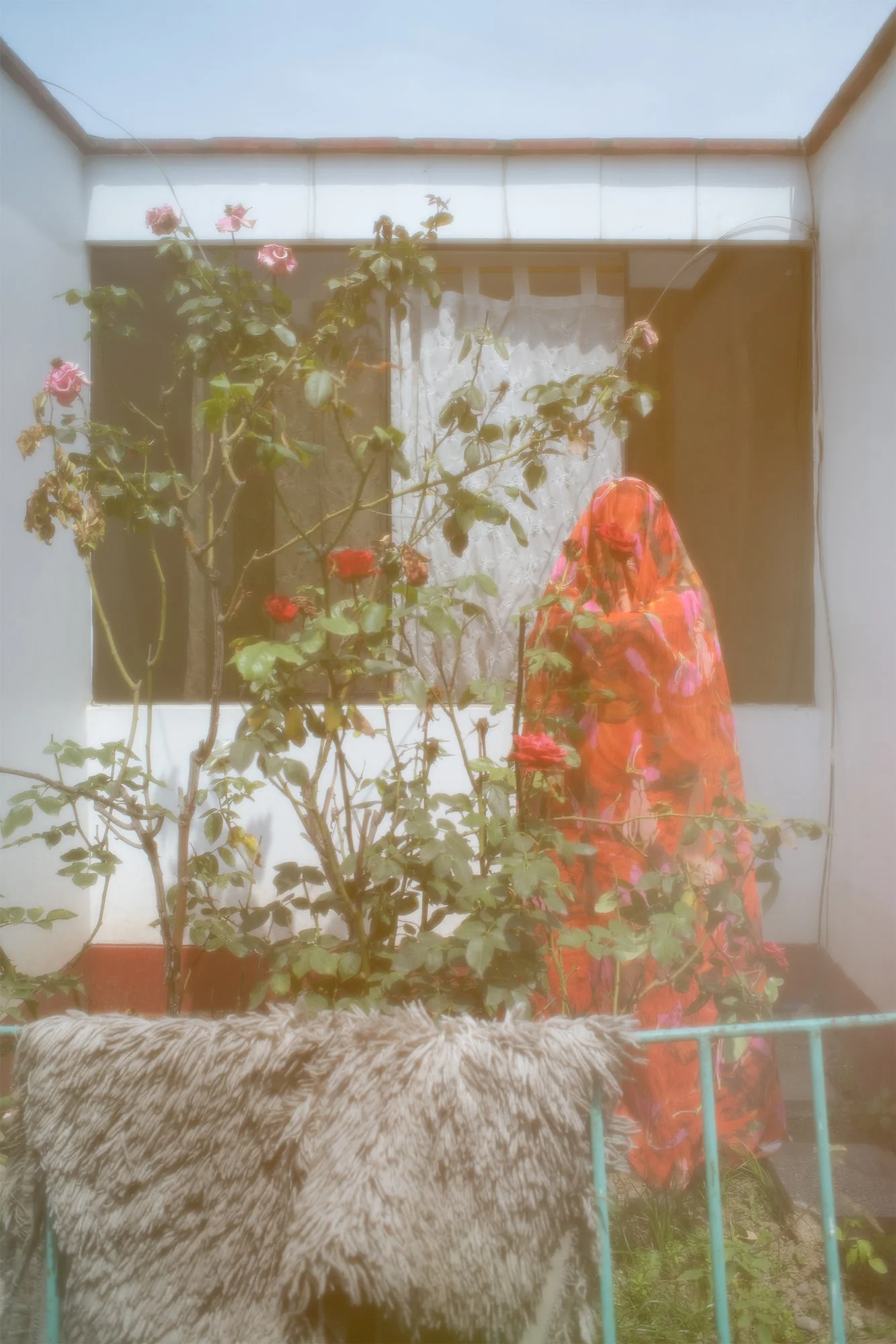 © Stephanie Cuyubamba Kong 