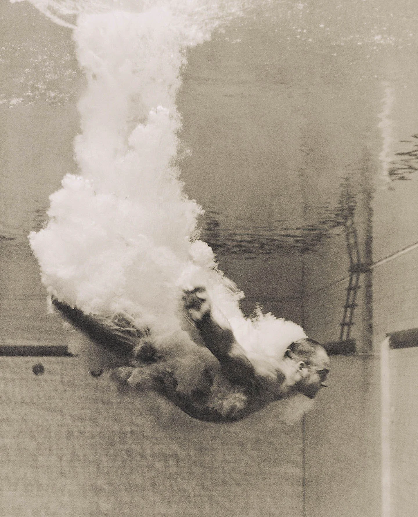 250914 Anderson & Low 02 - Antonio Ally, Diver, UK ©Anderson & Low.jpg