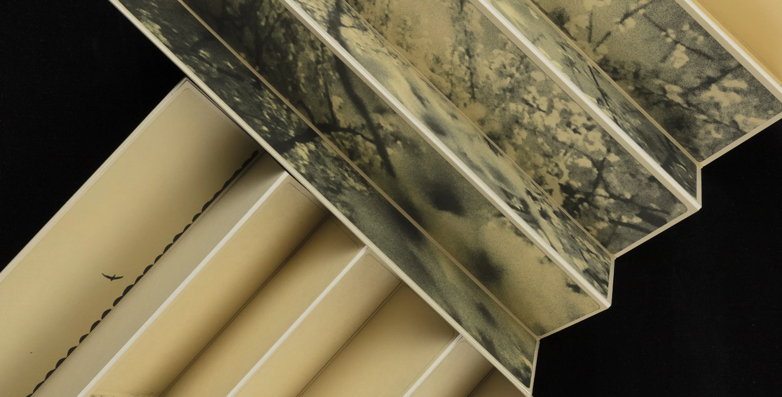 260212 EDU Jon Evans 11 - tanzaku-002.jpg