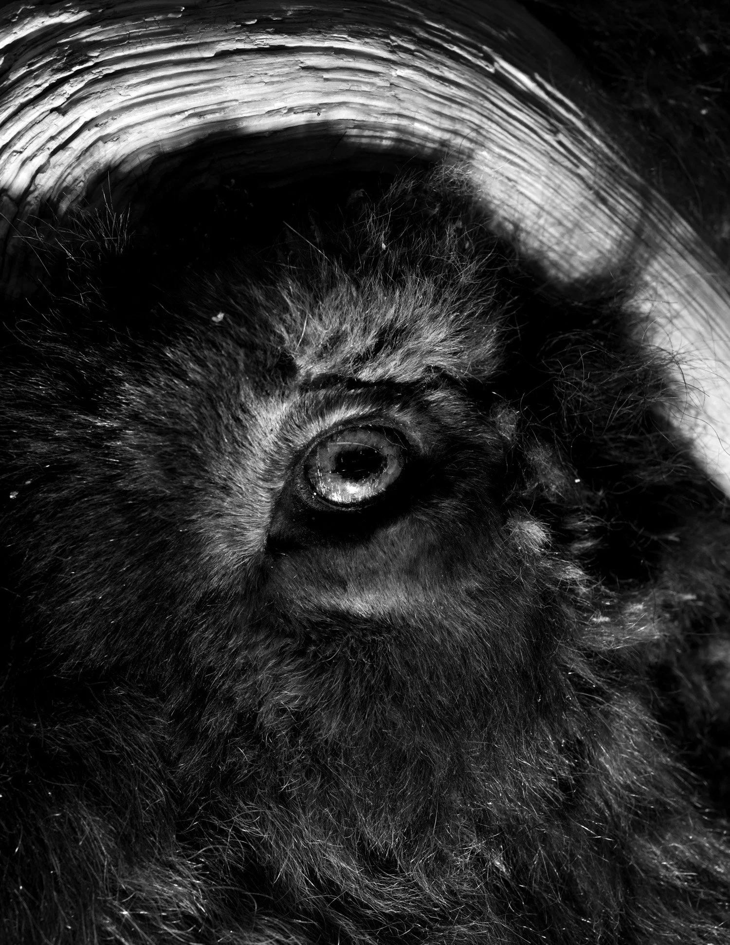 240703 EDU Austin Cullen 02 - Austin_Cullen-2.jpg