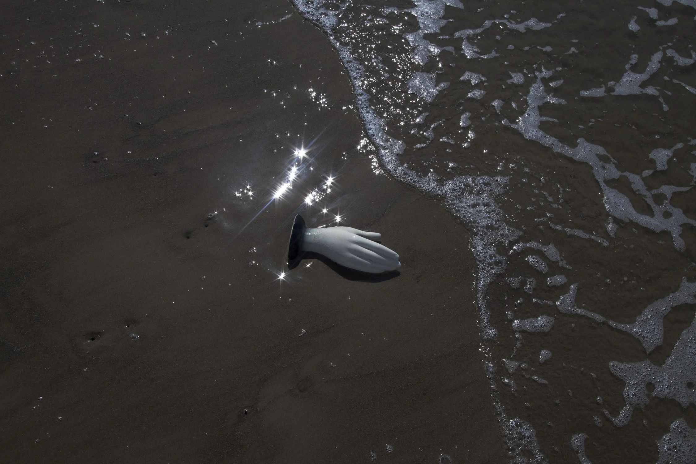 260128 EDU Debra Barrera 09 - Debra_Barrera_09.jpg