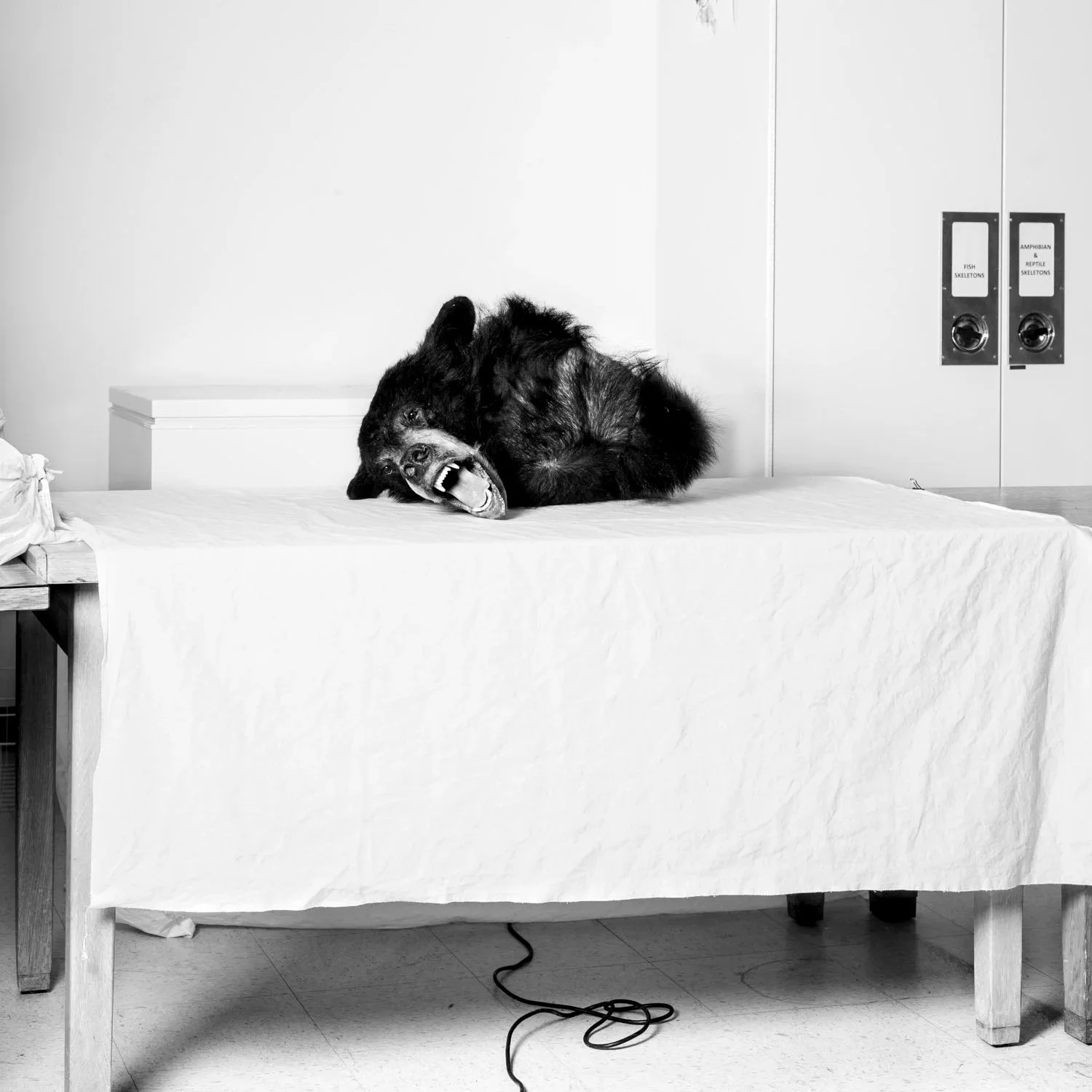 Photography II (Aug 5-13)