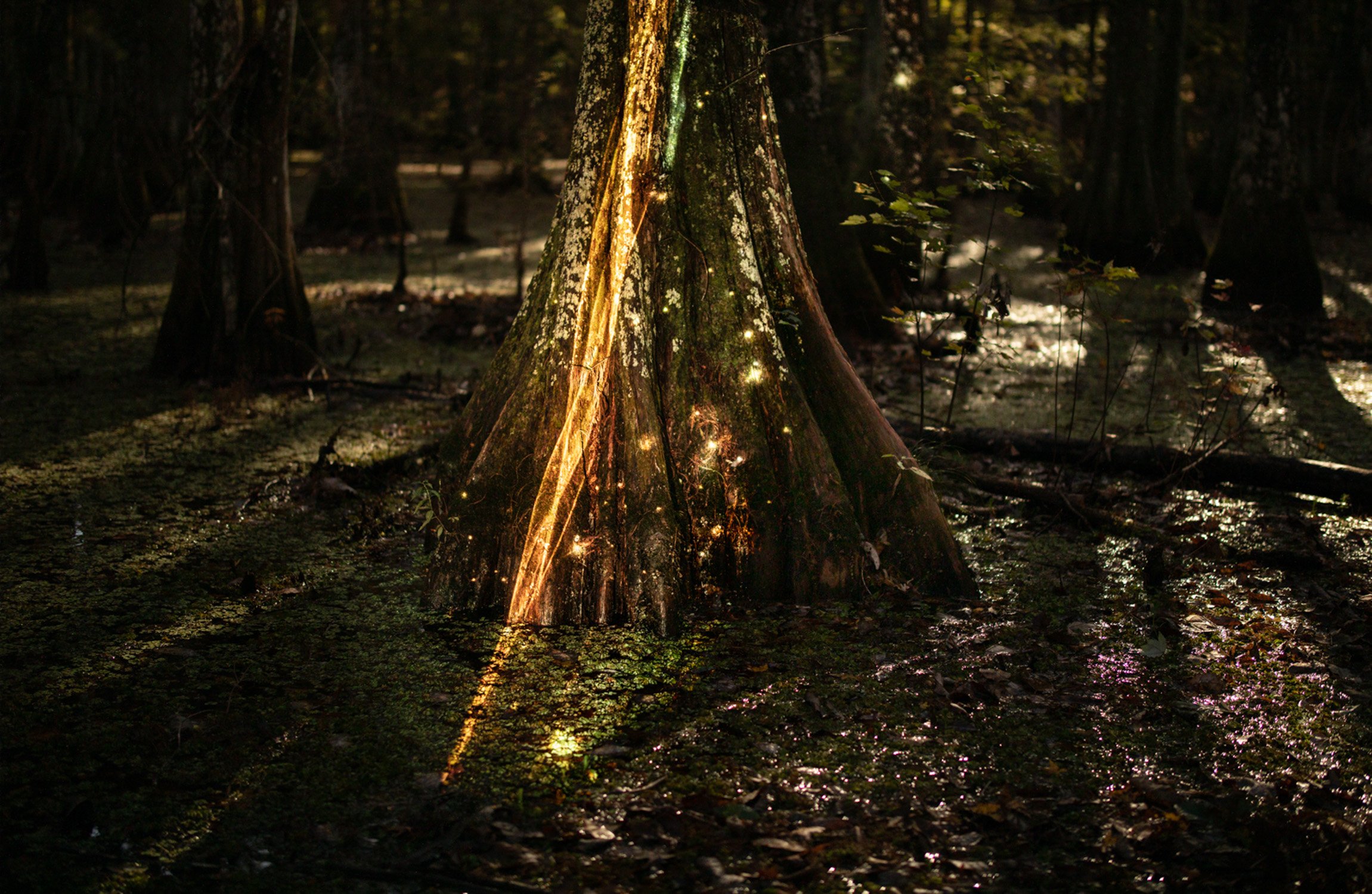 251110 EDU Mark Chen 11 - C5D_1554-Enhanced-1 copy 2.jpg