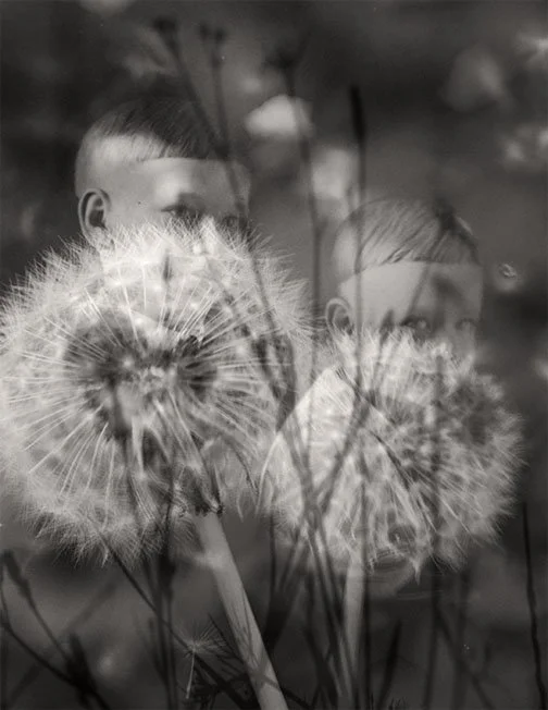  © Michelle Shoenberg 