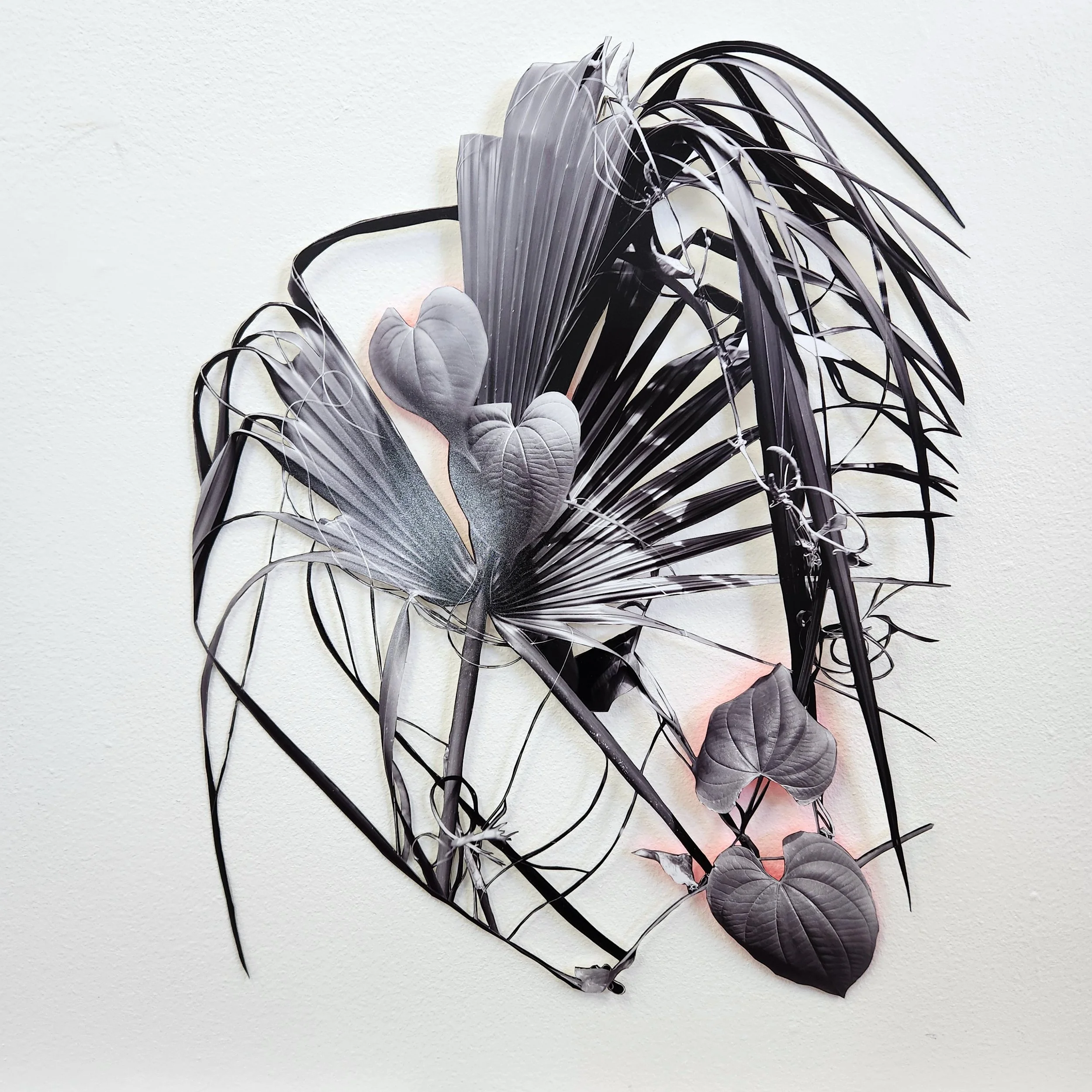 In Knots-11.jpg