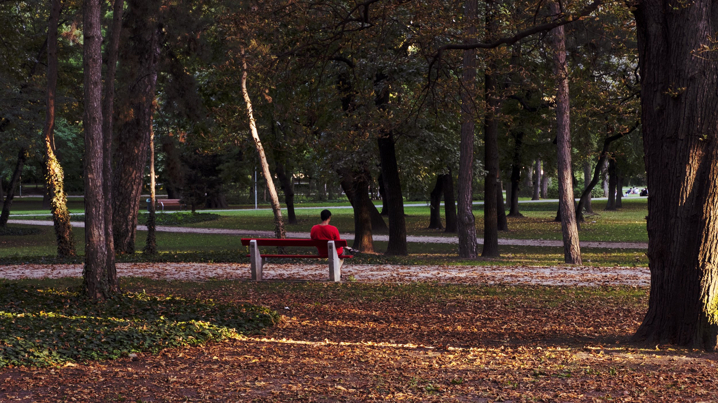 Red T shirt Budapest Man on Park Bench - (Colour Grade) 12.09.2019.jpg