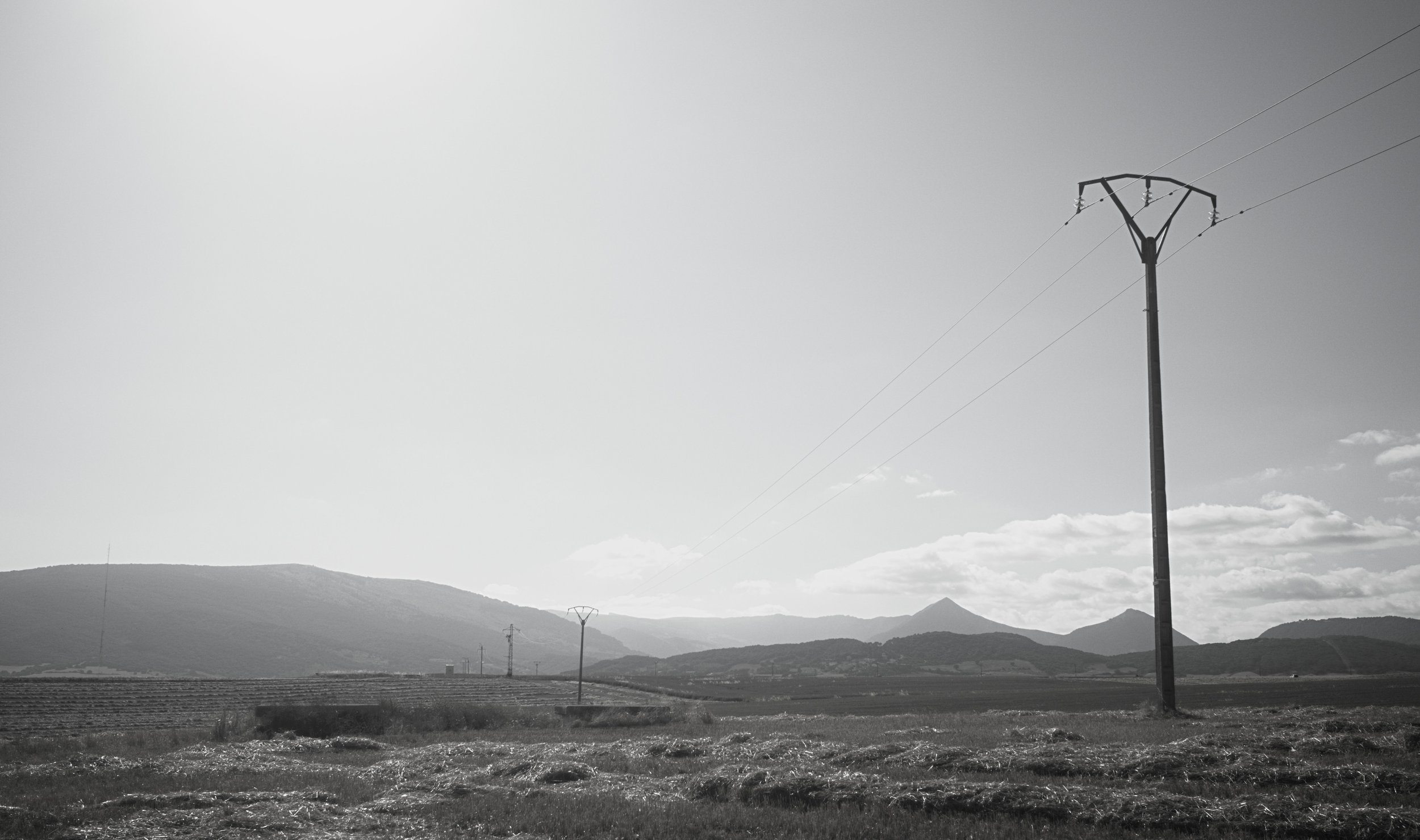 Pamplona Field and telegraph pole.jpg