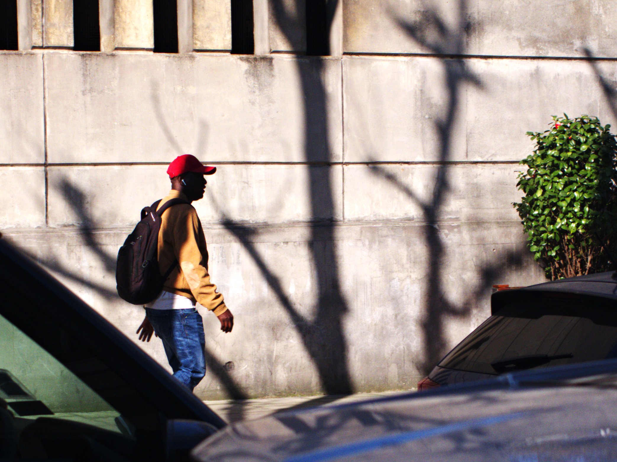 Red Hat Man and Tree Shadows.jpg