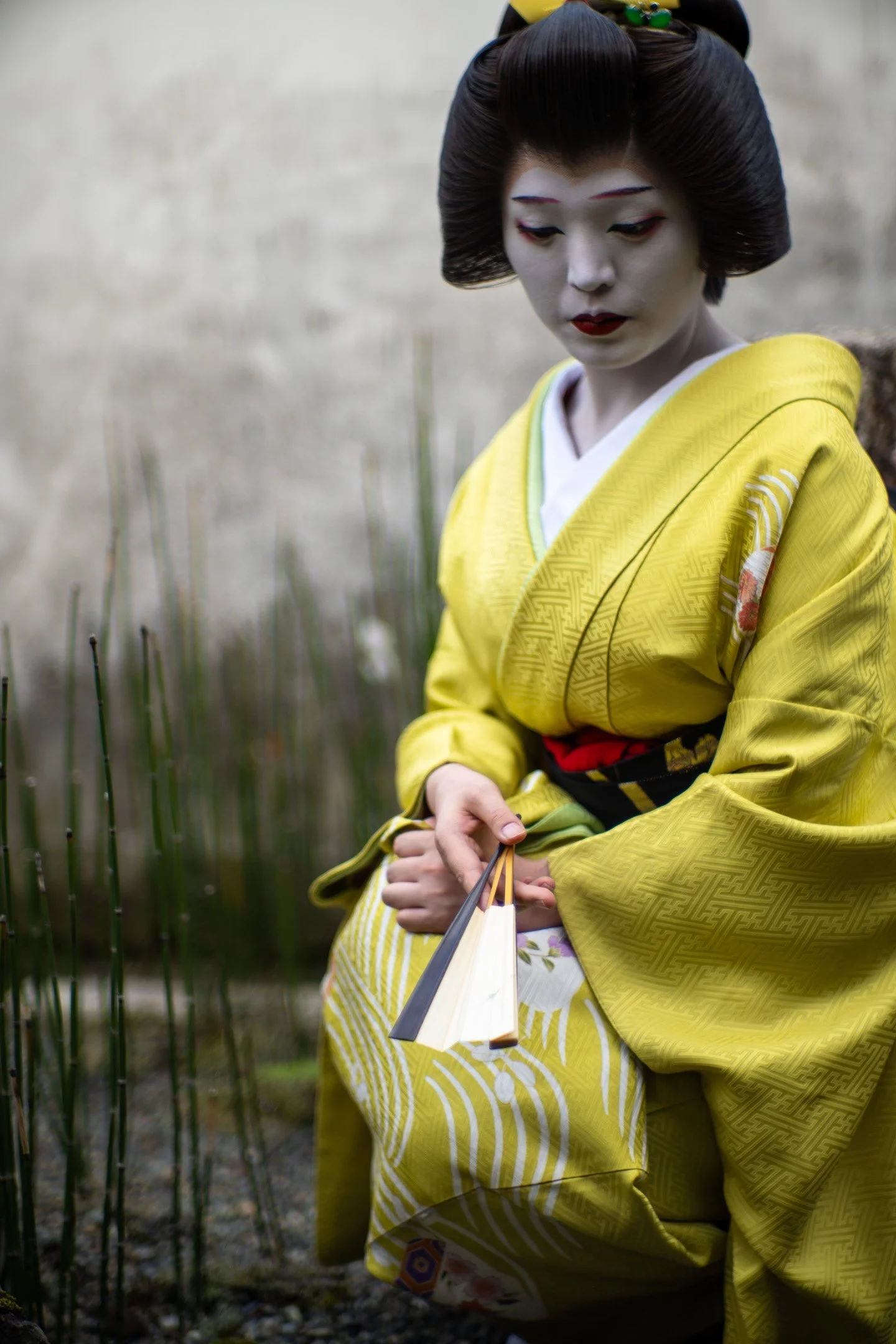 KYOTO: A VISUAL IMMERSION (2026)