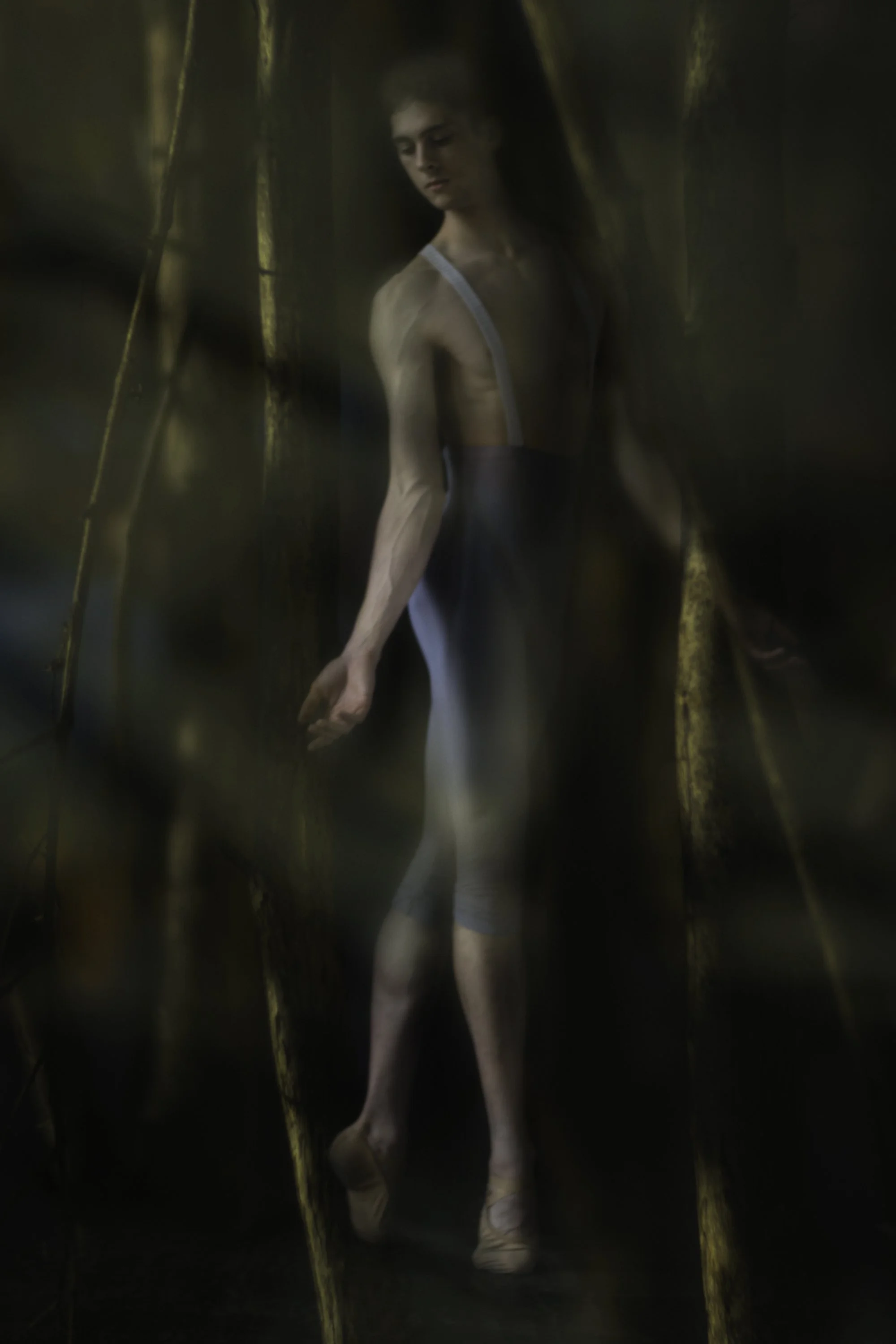 L1450366 copy Thuan Anh Nguyen.jpg