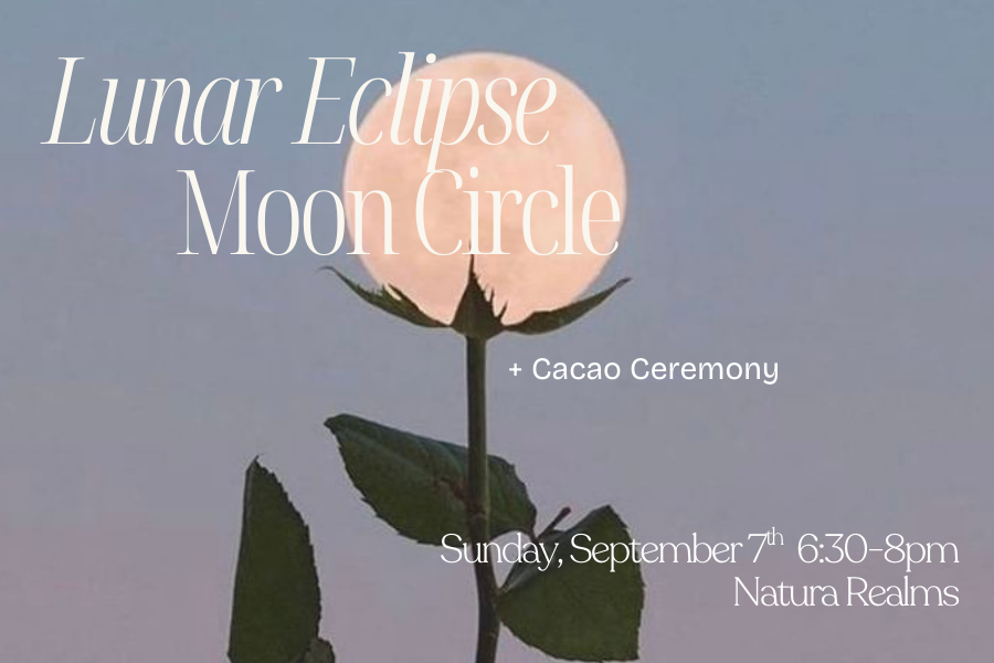 Lunar Eclipse Moon Circle