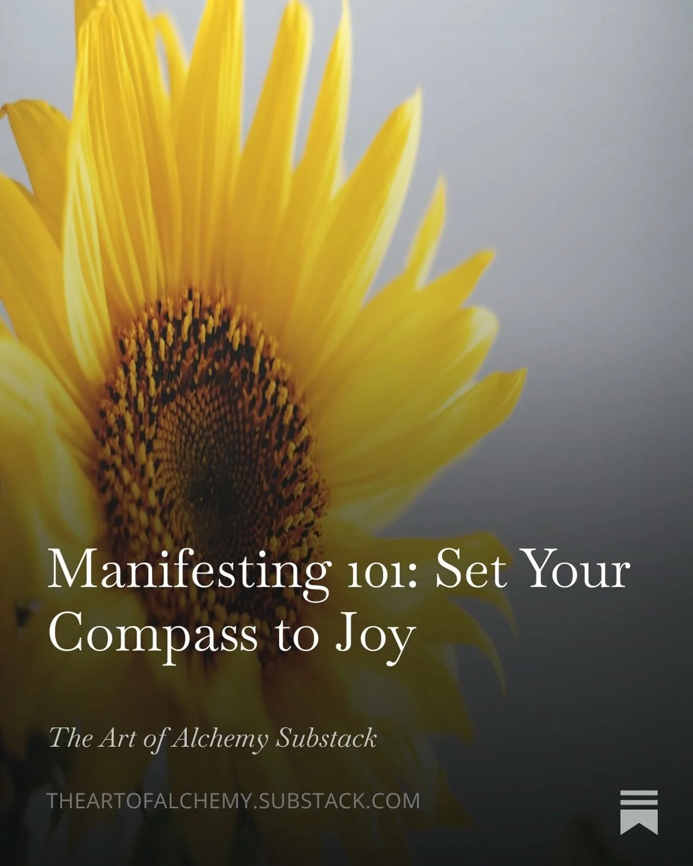 New Substack: Manifesting 101✨

I truly believe that joy is the key ingredient to manifestation. Joy becomes a vibration that hums through our cells. Given that manifestation is all about energetic alignment, it makes sense that our vibrational frequ