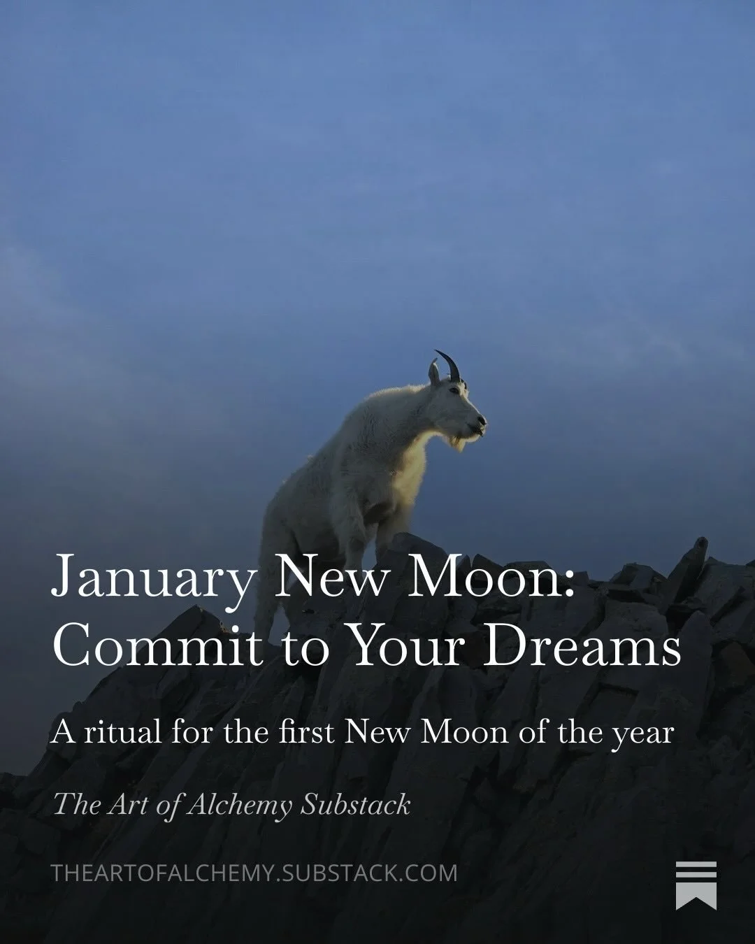 ✨New Substack✨

The first New Moon of the year arrives on Sunday, January 18th at approximately 2:52pm EST and asks us what we are ready to commit to. Landing in the sign of Capricorn, this lunation beckons us to take action towards our dreams and se