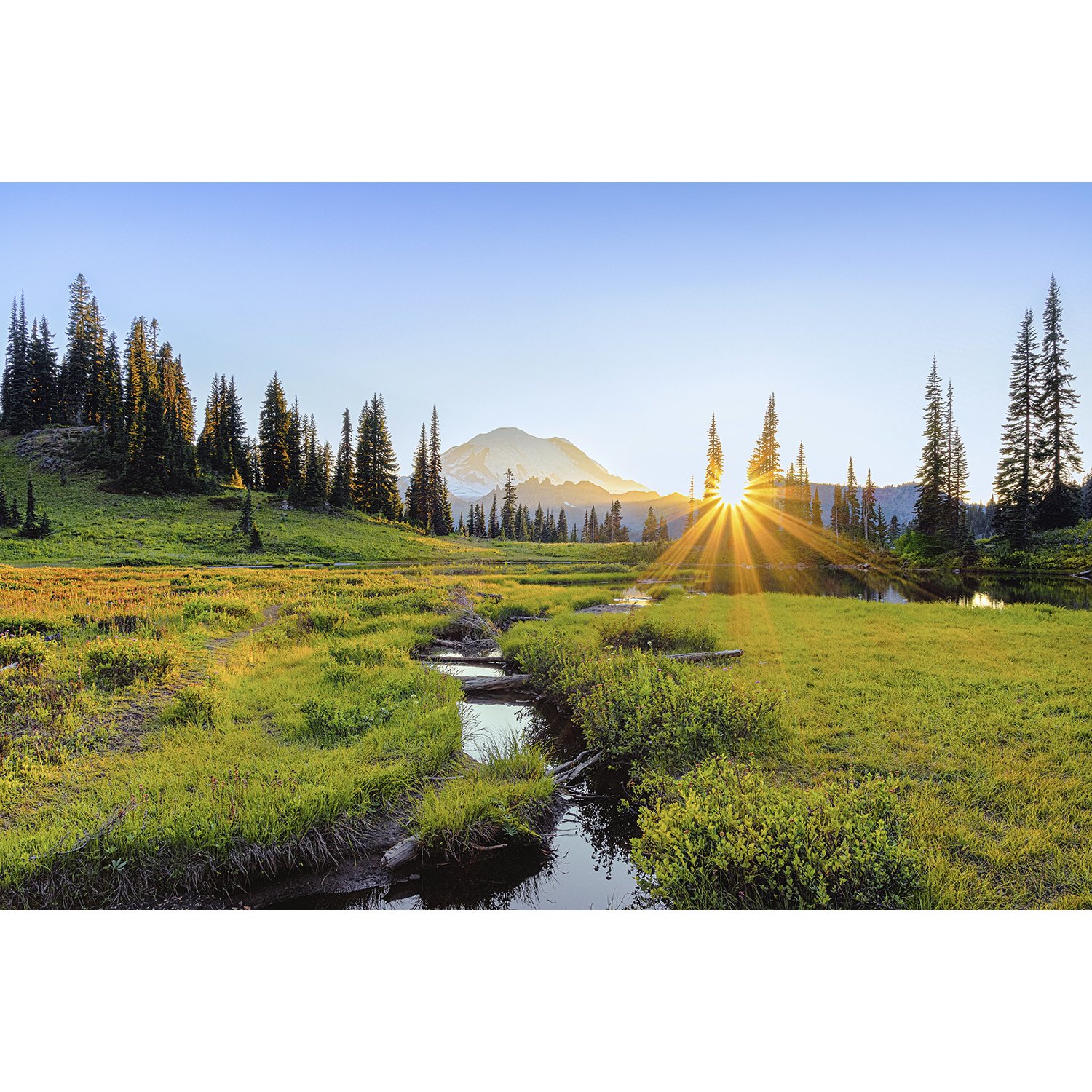 Mt. Rainier Sunset