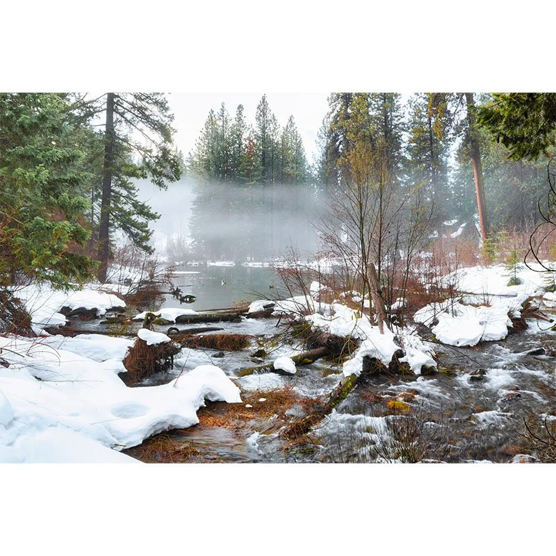 Suttle Lake Creek In Winter New Final small.jpg