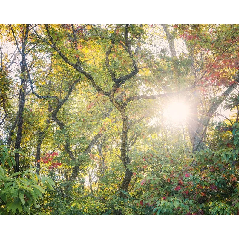 Sunrise from Red Hills State Park FR 2 small.jpg