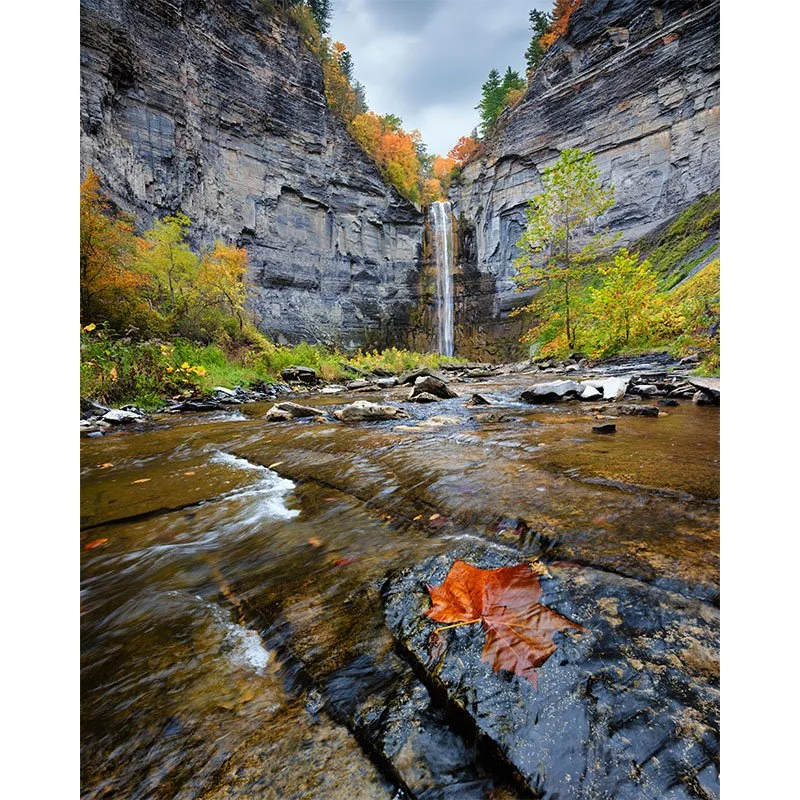 Taughannock Falls FR copy small.jpg