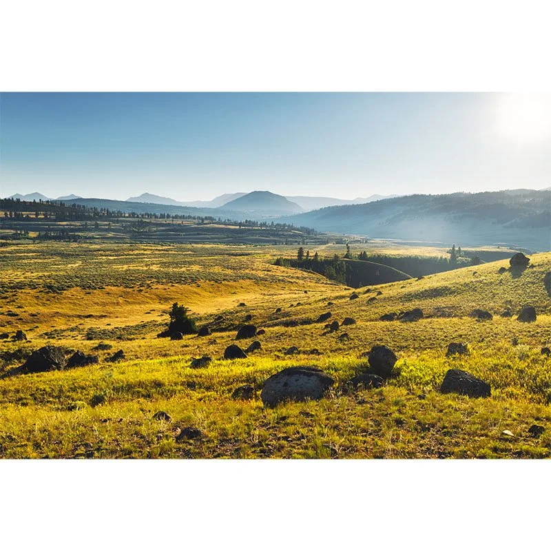 Lamar Valley FR copy small.jpg
