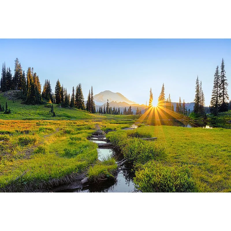 Mt Rainier Sunset NEW FINAL small.jpg