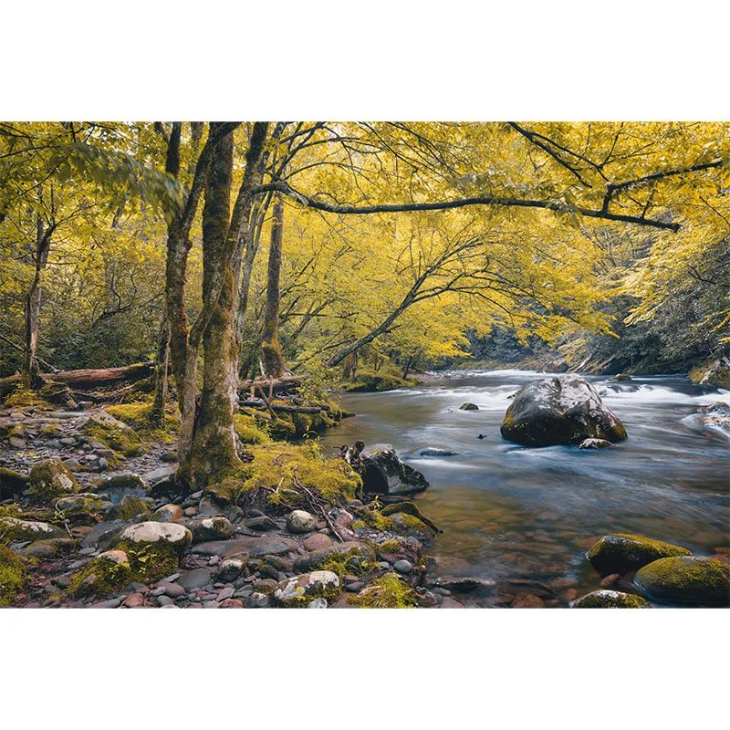 Smokey Mountains Creek small.jpg