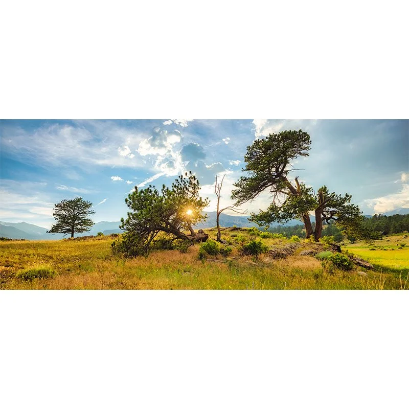 Moraine Park Sunset Wide FR small.jpg