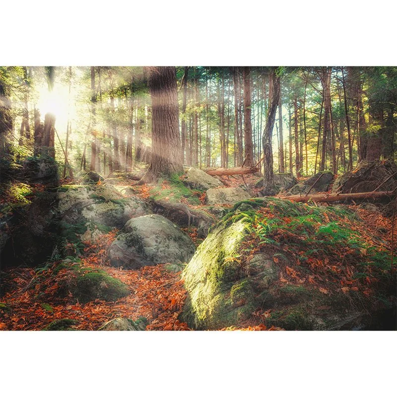 Lye Brooke Sunrise small.jpg