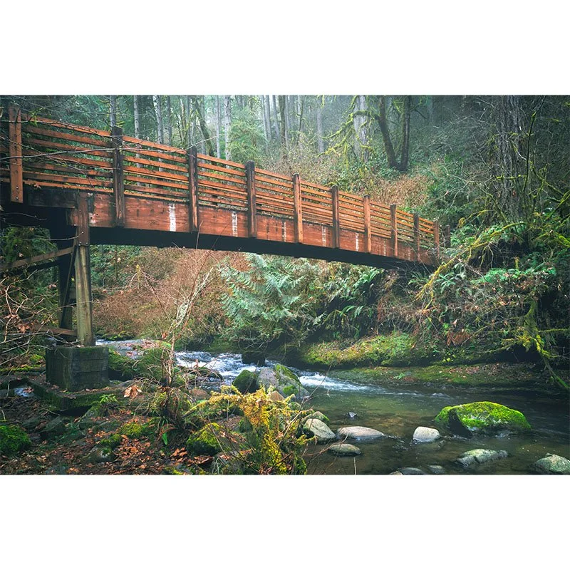 Bridge into an Oregon Forest FR copy 2 small.jpg