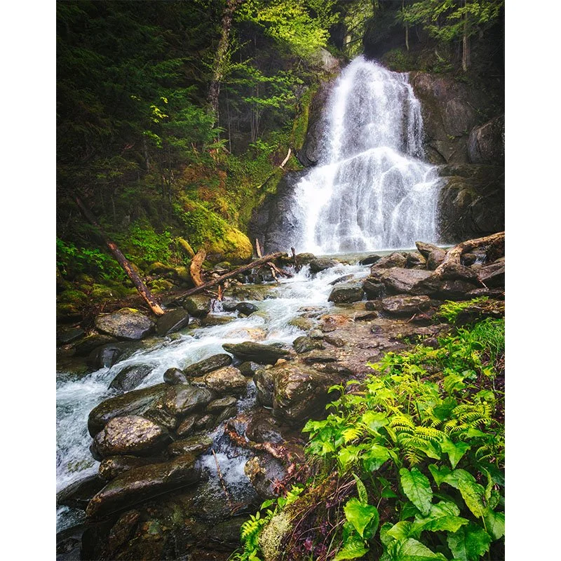 Moss Glenn Falls 2 FR 2 copy small.jpg
