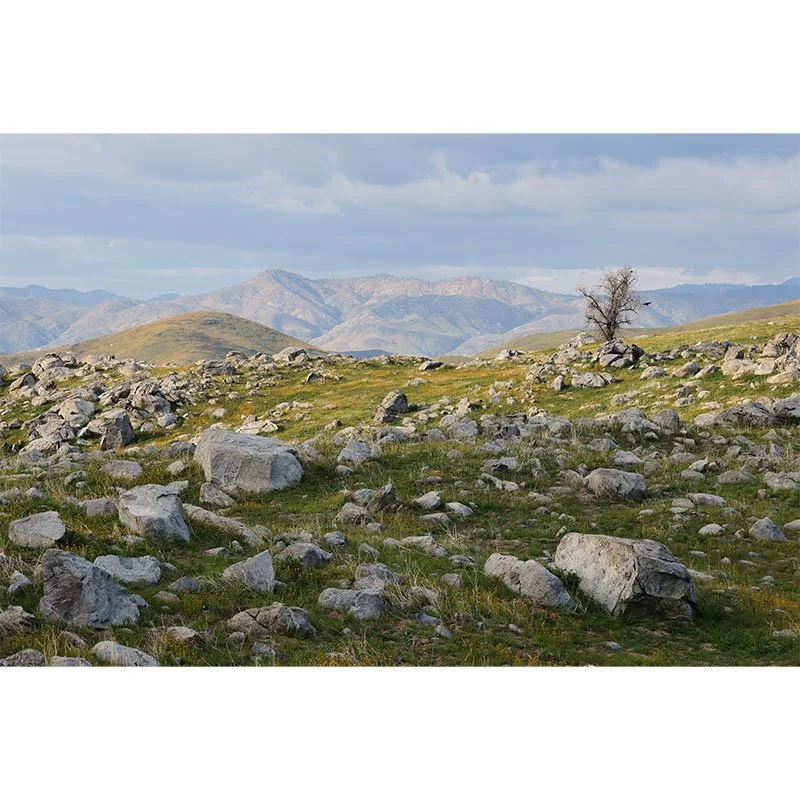 Rock Covered Hills small.jpg