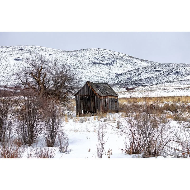 Idaho Winter Shed