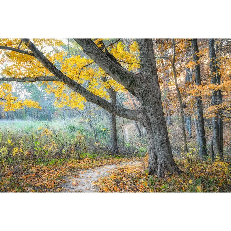 Fall Hiking Trail