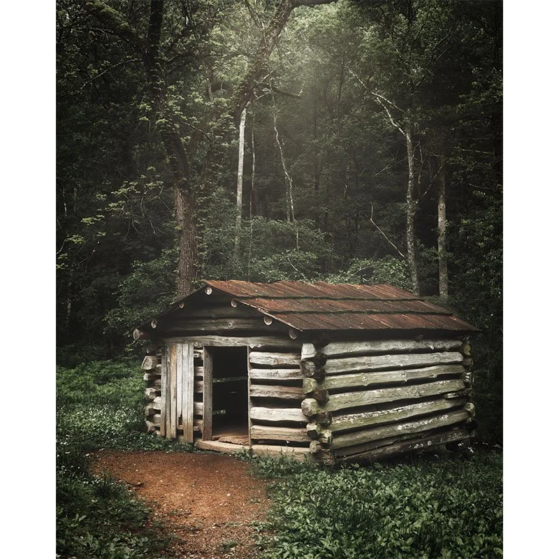 Old Shed in the Forest FR copy small.jpg