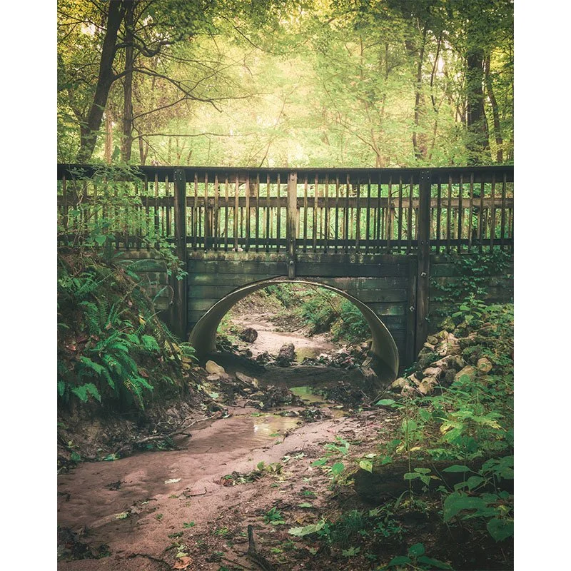 Forest Bridge in Illinois small.jpg