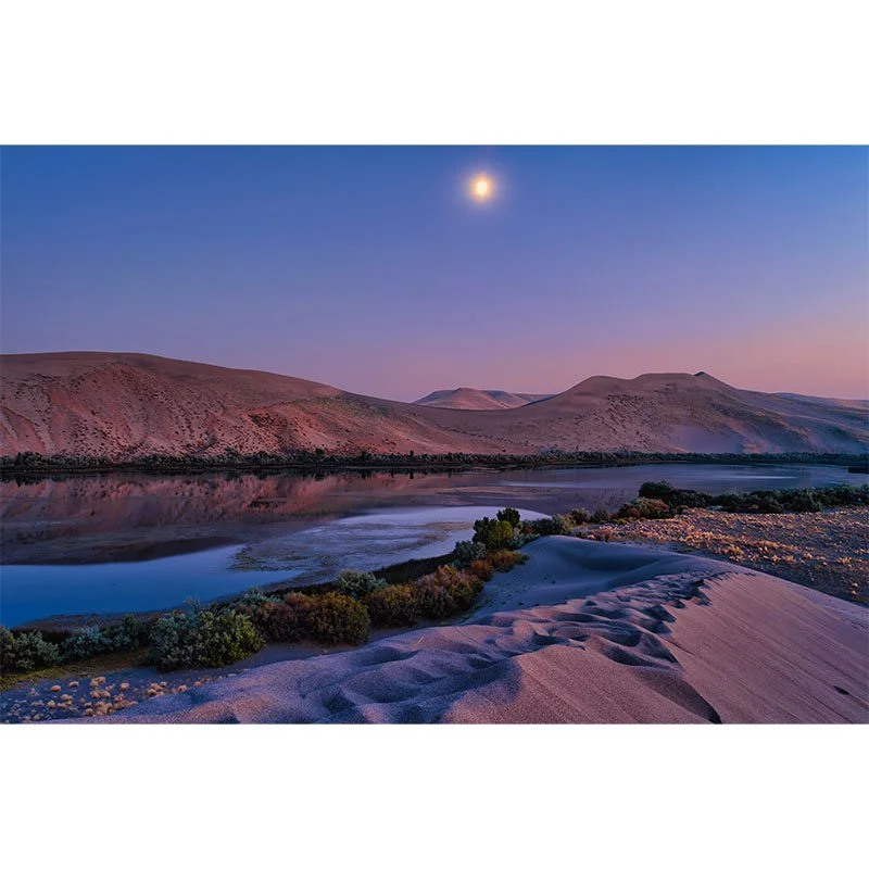 Bruneau Dunes Moon small.jpg