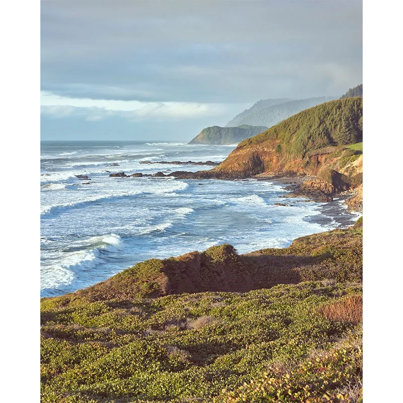 Oregon Coastline FR copy small.jpg