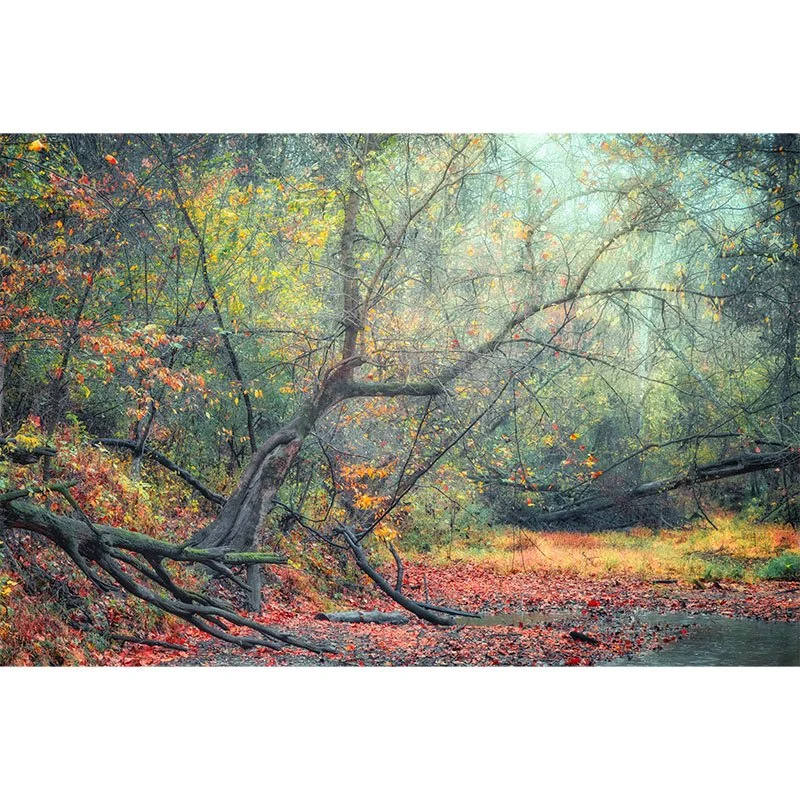Rainy Autumn Creek FR copy Final 1.17.25 copy small.jpg