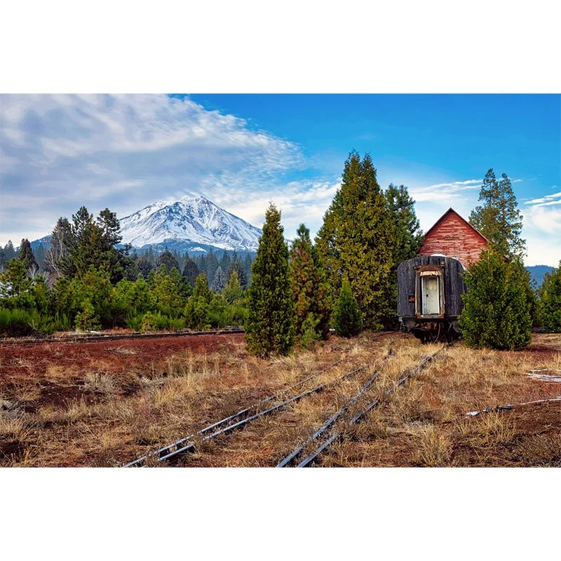train stop from mt shasta small.jpg